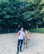 Bijrijder omgeving Veenendaal aangeboden, Ophalen