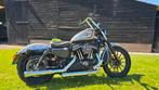 Harley Davidson XL 883 Sportster Iron - bj. 2012 - Custom!, Motoren, Motoren | Harley-Davidson, 2 cilinders, 883 cc, Particulier