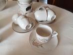 Villeroy en Boch Rosette 6 kop en schotels. ., Ophalen of Verzenden, Zo goed als nieuw, Overige stijlen, Kop(pen) en/of Schotel(s)