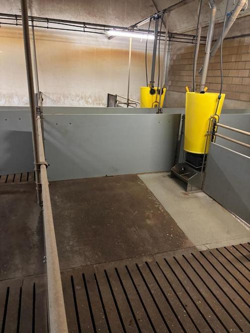 Hokinrichting vleesvarkens [465], Dieren en Toebehoren, Stalling en Weidegang