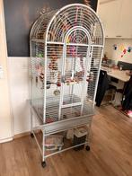 Vogelkooi / Papegaaienkooi Strong Anna, Dieren en Toebehoren, Vogels | Hokken en Kooien, Ophalen, Zo goed als nieuw, Metaal, Vogelkooi