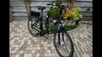 Trenergy * e-bike * elektrische fiets * e bike + accu+lader, 51 tot 55 cm, Ophalen, Zo goed als nieuw, Overige merken