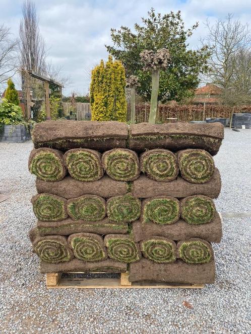 graszoden, Tuin en Terras, Gras en Kunstgras, Nieuw, Gras, Ophalen