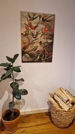 Wanddecoratie vogels, Ophalen of Verzenden, Nieuw