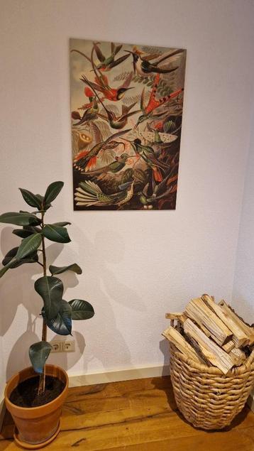 Wanddecoratie vogels beschikbaar voor biedingen