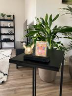 Betonnen Pikachu Kaartenhouder - Goud, Ophalen of Verzenden, Nieuw, Overige typen