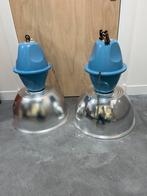 industriele lampen set, Ophalen, Zo goed als nieuw, Glas, Minder dan 50 cm
