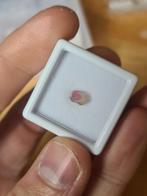 Watermeloen Toermalijn schijfje - 0,71ct - #8, Ophalen of Verzenden, Nieuw