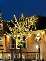boomverlichting 31 Volt kerst, Ophalen of Verzenden, Nieuw