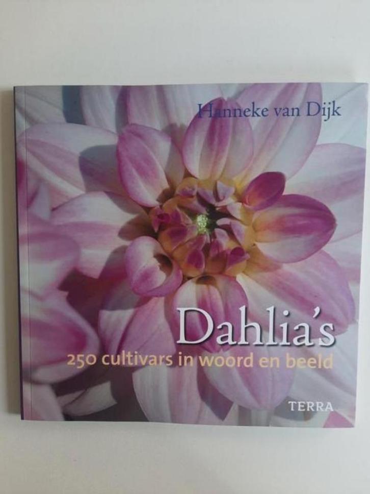 Dahlia's . Hanneke van Dijk, Boeken, Wonen en Tuinieren, Zo goed als nieuw, Overige soorten, Ophalen of Verzenden