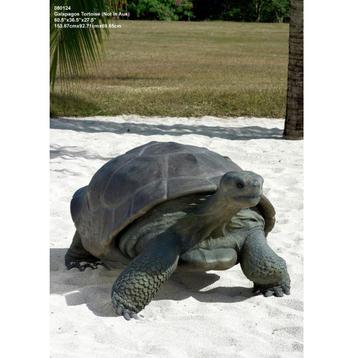 Galapagos Tortoise – Schildpad beeld Lengte 154 cm beschikbaar voor biedingen