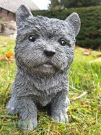 beeld van een hond , puppy ,kado, Steen, Ophalen of Verzenden, Atw, Atw