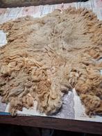Vacht van Solognote  lam, Ophalen of Verzenden, Nieuw, Spinwol