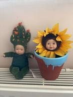 Anna Geddes: Cactus & Zonnebloem Popjes, Ophalen of Verzenden, Gebruikt, Overige typen
