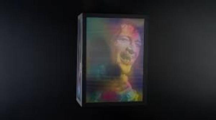 ik aksepteer u zoals ik ben, Herman brood, Antiek en Kunst, Kunst | Etsen en Gravures, Ophalen