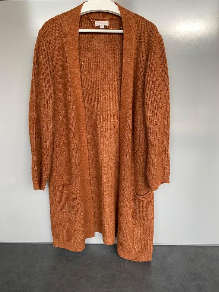 Only Carmakona lang vest - roestbruin maat 42/44 (valt ruim), Kleding | Dames, Truien en Vesten, Gedragen, Maat 42/44 (L), Bruin