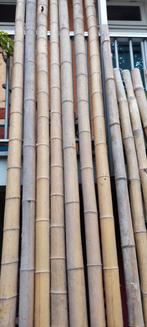 Bamboo, Tuin en Terras, Ophalen