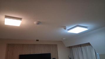 Plafond lampen met afstandsbediening  beschikbaar voor biedingen