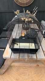 Vogelkooi, Dieren en Toebehoren, Ophalen of Verzenden, Zo goed als nieuw