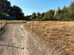 Nieuw weigenootje gezocht voor ons paddock paradijs, Dieren en Toebehoren, Stalling en Weidegang