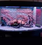 Aquarium Juwel Vision 180 + Aquarium Kast + Div Toebehoren, Ophalen, Gebruikt, Verlichting of Verwarming