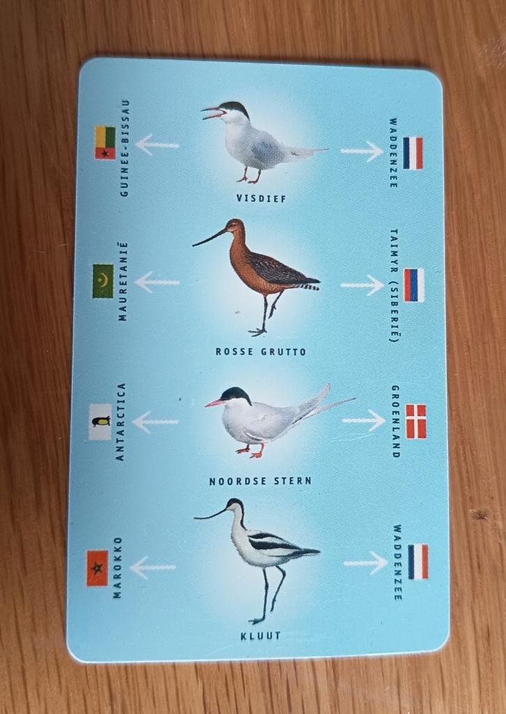 PTT Telecom Telekaart - Waddenzee Vogels, Verzamelen, Telefoonkaarten, Nederland, Ophalen of Verzenden
