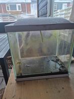 Aquarium 30L zelf schoonmaken, Dieren en Toebehoren, Ophalen, Leeg aquarium