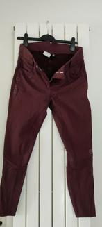 Montar highwaist maat 44 dames rijbroek, Ophalen of Verzenden, Zo goed als nieuw, Dressuur, Onderkleding