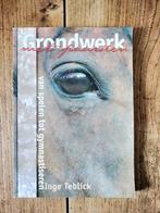 Het ultieme boek over Grondwerk! Paarden - Inge Teblick, Ophalen, Inge Teblick, Zo goed als nieuw, Paarden of Pony's
