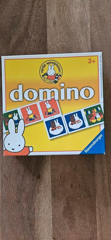 Nijntje Domino  beschikbaar voor biedingen