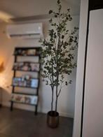 Kunst Eucalyptus Plant 2,37 m, Ophalen of Verzenden, Zo goed als nieuw, Binnen