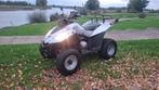 E-ton Vector 250cc quad automaat autorijbewijs met kenteken, Motoren, Quads en Trikes