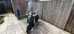Te koop Nimoto ceo 50, Fietsen en Brommers, Snorfietsen en Snorscooters, Ophalen, Gebruikt, Overige merken