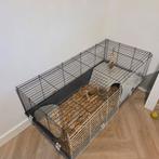 Konijnenkooi gratis, Minder dan 60 cm, Kooi, Gebruikt, Ophalen of Verzenden
