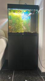 Juwel lido, Dieren en Toebehoren, Vissen | Aquaria en Toebehoren, Ophalen, Zo goed als nieuw, Leeg aquarium