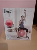 Gymnastiek bal soft met elastieken, Ophalen of Verzenden, Zo goed als nieuw