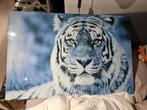 Glas schilderij tijger, Ophalen, Zo goed als nieuw, Schilderij, 75 tot 100 cm