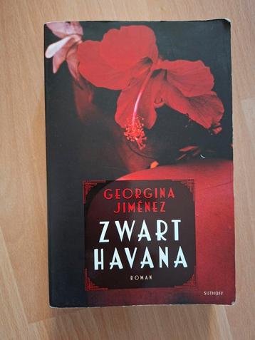 Roman Zwart Havana - Georgina Jimenez beschikbaar voor biedingen