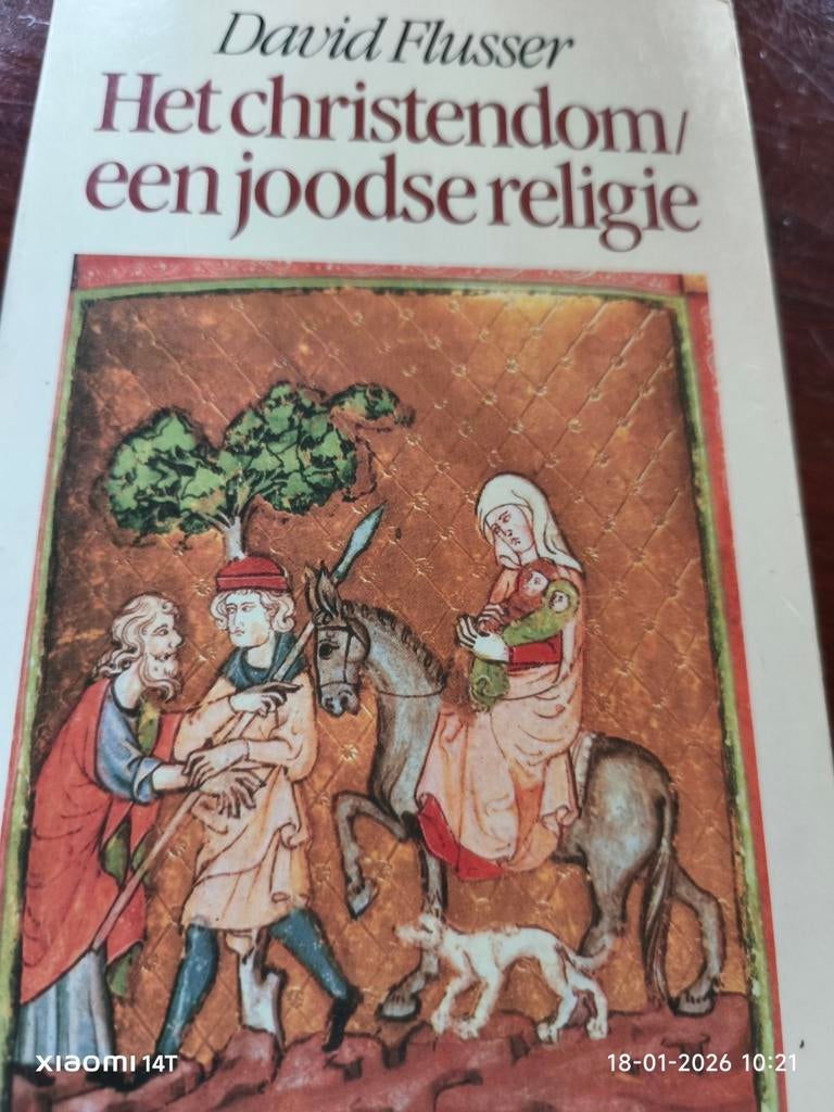 Het Christendom: Een Joodse Religie - David Flusser, Boeken, Ophalen of Verzenden, Gelezen, David Flusser