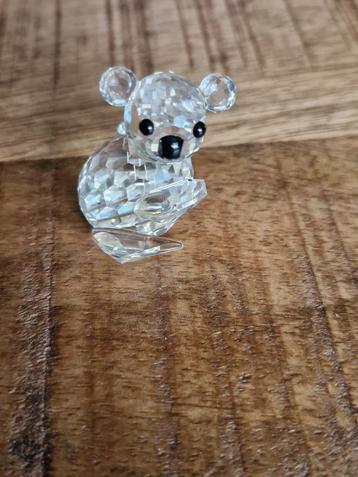 Koala beschikbaar voor biedingen