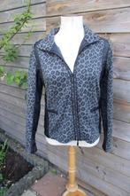 Jasje grijs/ zwart Monari mt M Vaste prijs, Maat 38/40 (M), Monari, Zwart, Ophalen of Verzenden