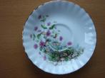 Royal Albert schotel van Herenkop  , Ophalen of Verzenden