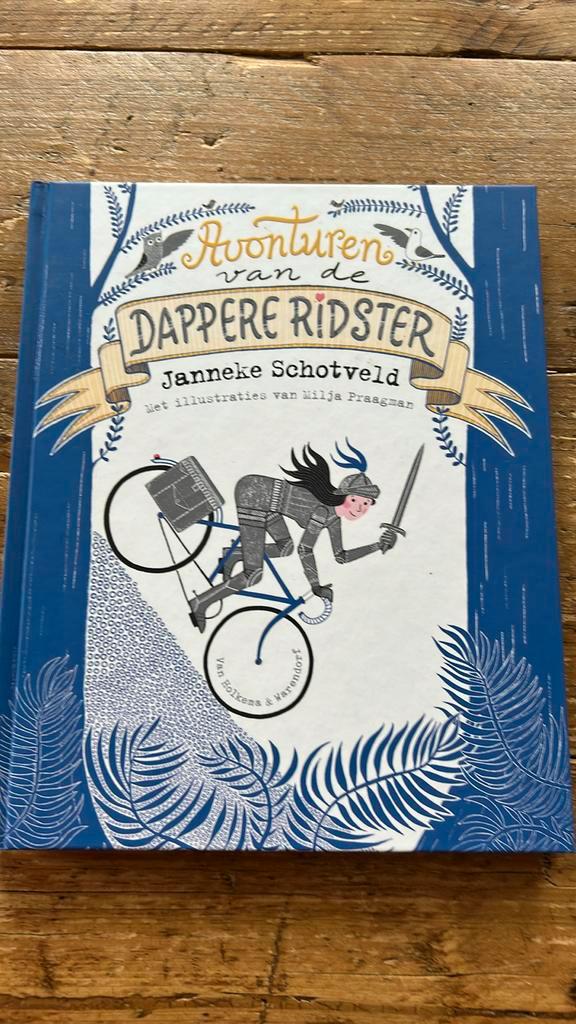 Janneke Schotveld - Avonturen van de dappere ridster, Boeken, Kinderboeken | Jeugd | onder 10 jaar, Zo goed als nieuw, Fictie algemeen
