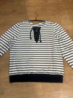 STUDIO ANNELOES TRUI L, Kleding | Dames, Truien en Vesten, Ophalen of Verzenden, Zo goed als nieuw, Maat 38/40 (M), Blauw