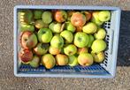 Appels Jonagold handapples, Ophalen