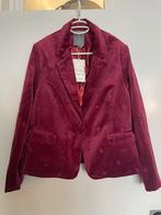 Geisha Fluwelen Blazer maat xl/42 nieuw met kaartje eraan!, Kleding | Dames, Geisha, Maat 42/44 (L), Nieuw, Ophalen of Verzenden