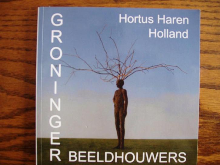 Groninger Beeldhouwers. In Hortus Haren. R Verment, Boeken, Kunst en Cultuur | Beeldend, Zo goed als nieuw, Beeldhouwkunst, Ophalen of Verzenden