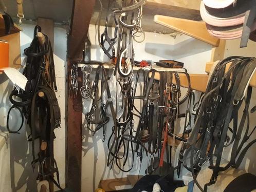 Paardenspullen hoofdstel dekens singels. 12st  paardrijzadel, Dieren en Toebehoren, Paarden en Pony's | Hoofdstellen en Tuigage