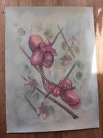 Aquarel rode bessen vruchten, Antiek en Kunst, Ophalen of Verzenden