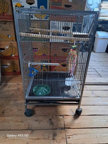 Bijna nieuwe vogelkooi metaal 45 x 45 x 77 cm. Wieltjes.  beschikbaar voor biedingen
